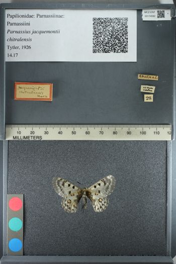 Media type: image;   Entomology 174592